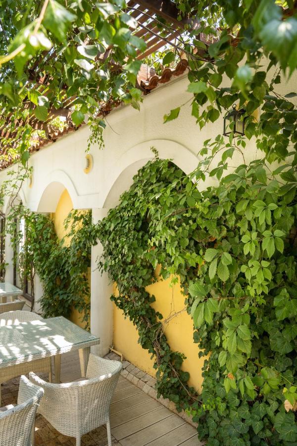 Villa Pontica Năvodari Exteriér fotografie
