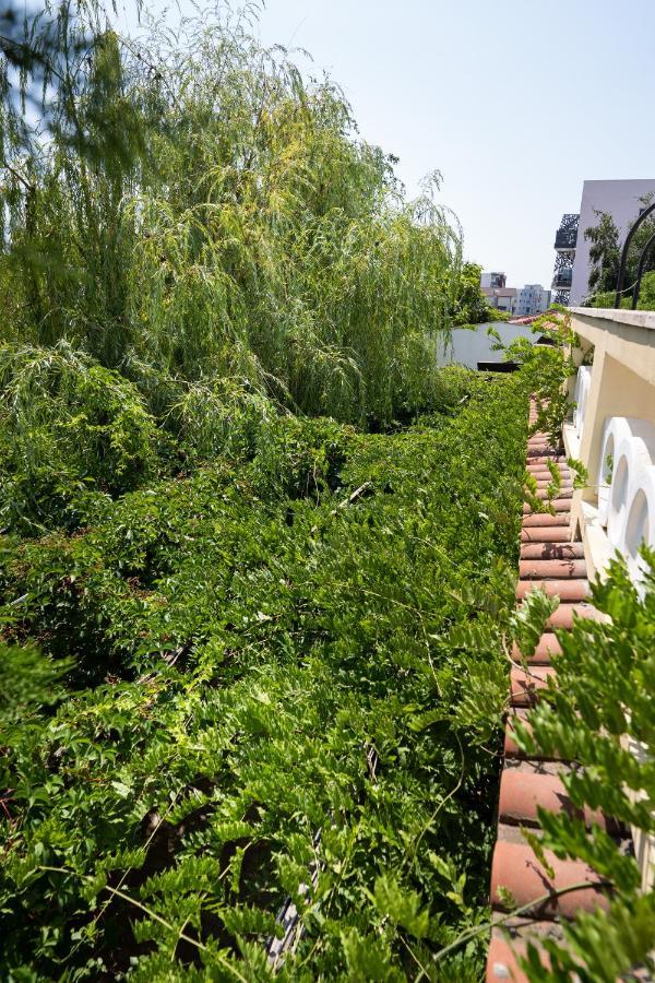 Villa Pontica Năvodari Exteriér fotografie
