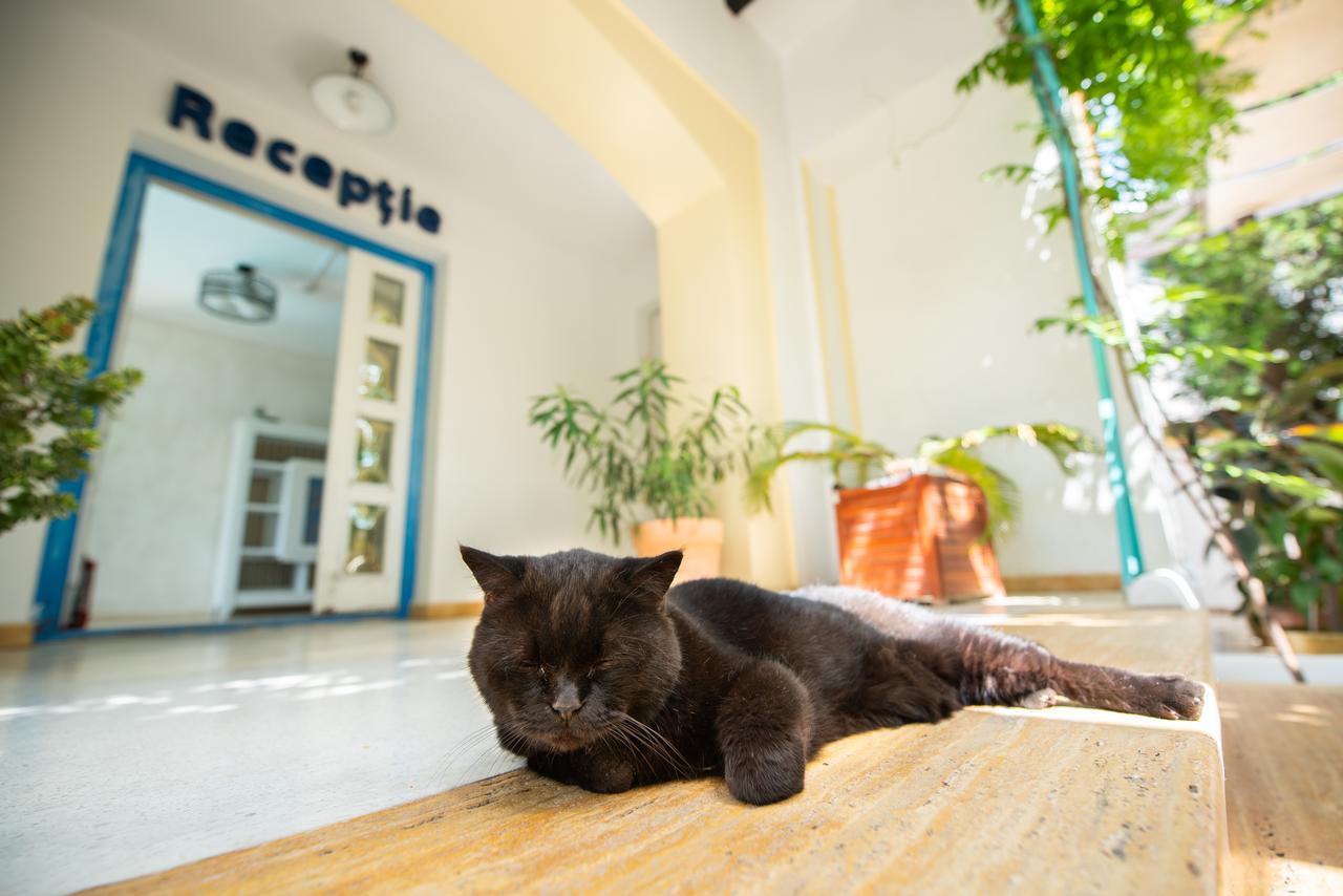 Villa Pontica Năvodari Exteriér fotografie